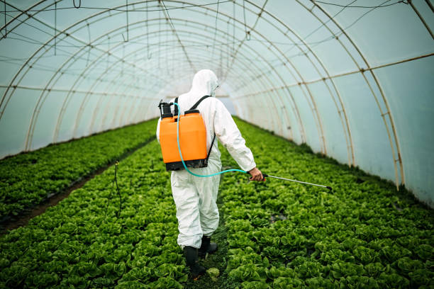 Best Pest Control Near Me  in Selma, CA