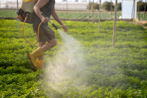 Best Pest Inspection Near Me  in Selma, CA