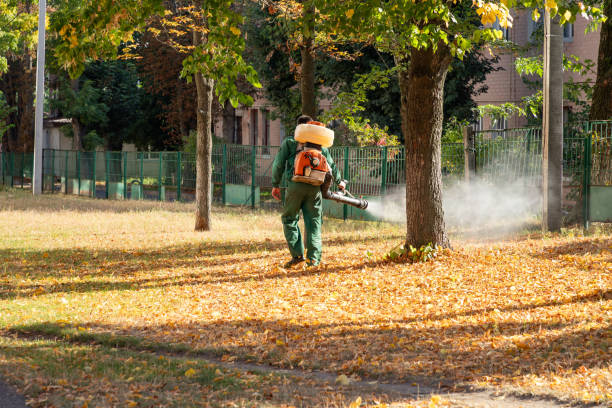 Flea Control Services in Selma, CA