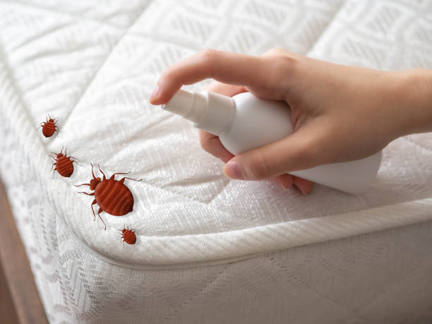 Best Best Pest Control Companies  in Selma, CA