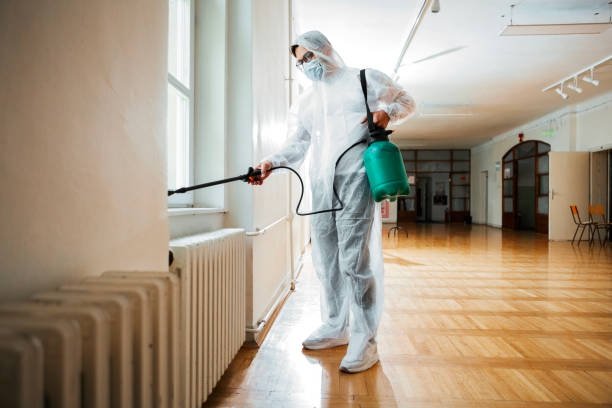 Wasp Removal Services in Selma, CA