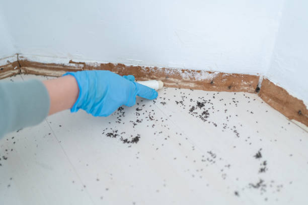 Best Wildlife Control Services  in Selma, CA